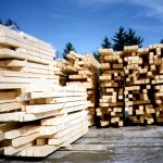 6x8 Log Timber Inventory