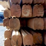8x8 Round Round Logs Double D Logs