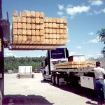 Order Being Loaded For Delivery