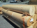 14" Round White Pine Posts