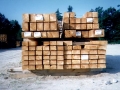 Timbers of Various Sizes