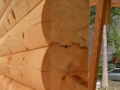 8x8 D Logs With Drip Edge