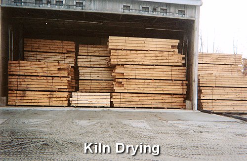 Kiln Drying Logs