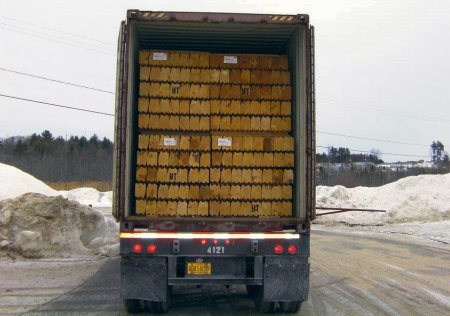 Wholesale logs in truck container for export